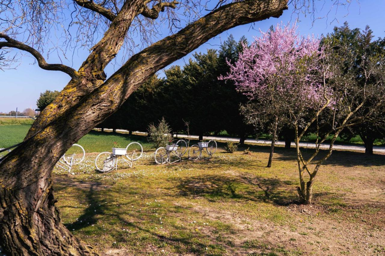 Il Giardino Di Rebecca Bed & Breakfast Ferrara Bagian luar foto