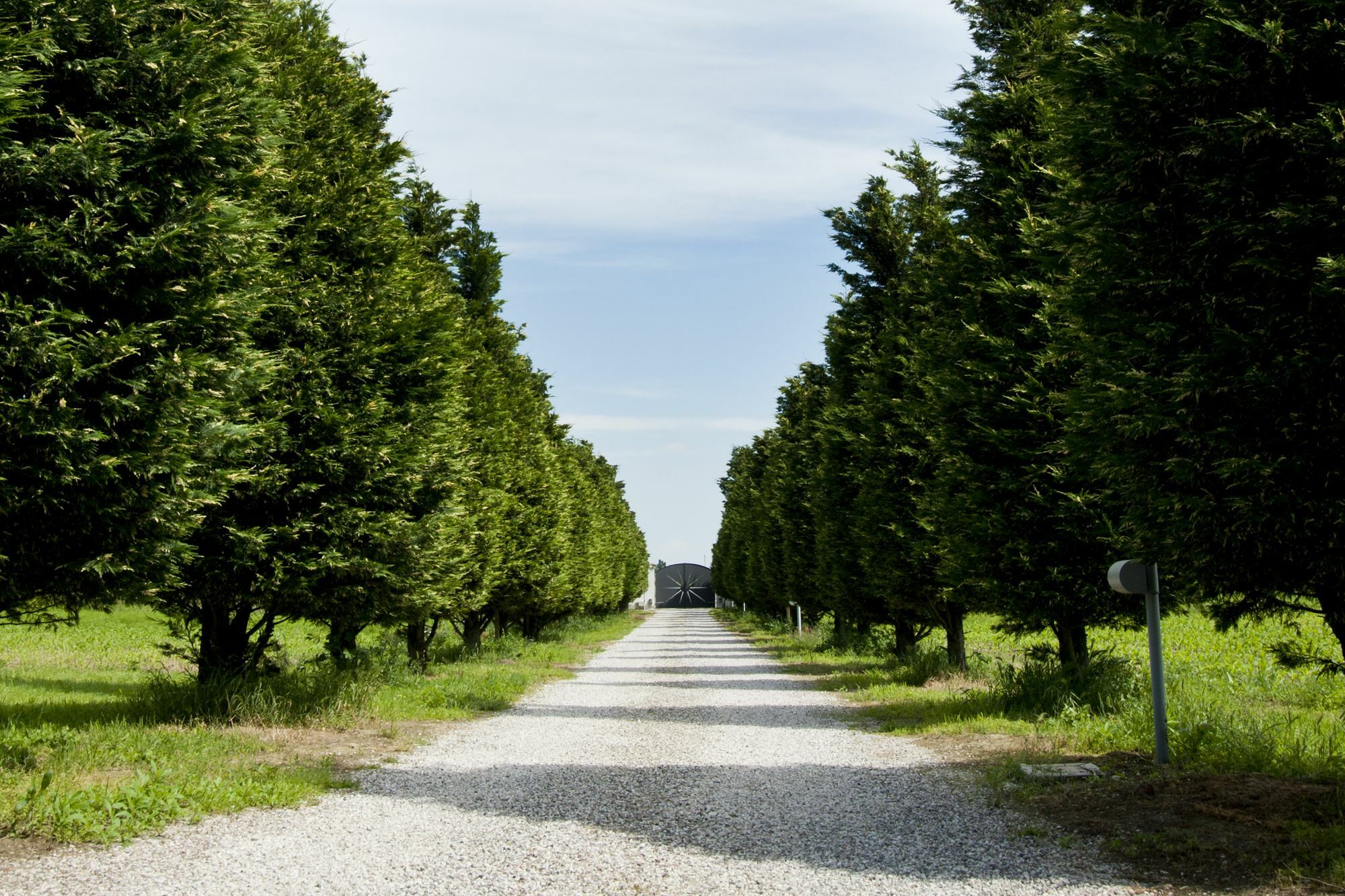 Il Giardino Di Rebecca Bed & Breakfast Ferrara Bagian luar foto